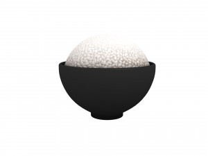 3d rice bowl Modelo 3D