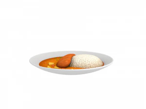curry and rice 3D Model