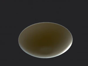 curry and rice 3D Model