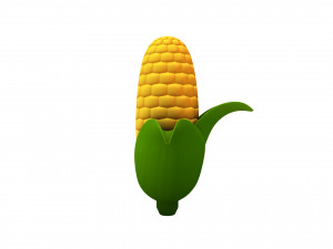corn Model 3D