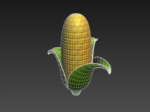 corn Model 3D
