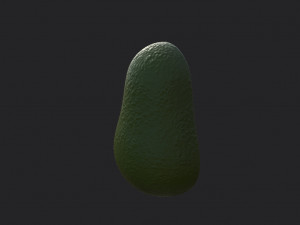 avocado Modelo 3D