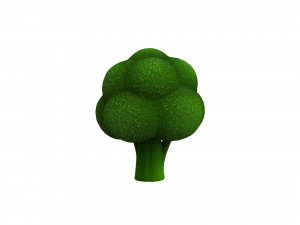 broccoli Modelo 3D