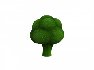 broccoli 3D Model
