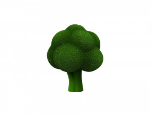 broccoli 3D Model