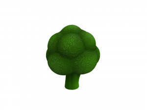 broccoli Modelo 3D