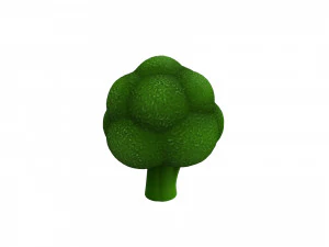 broccoli 3D Model