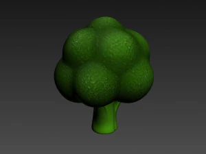 broccoli 3D Model