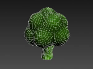 broccoli 3D Model
