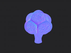 broccoli 3D Model