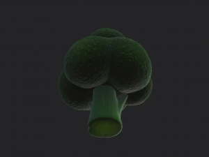 broccoli 3D Model