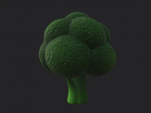broccoli 3D Model