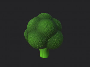 broccoli Modelo 3D