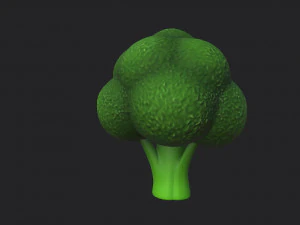 broccoli 3D Model
