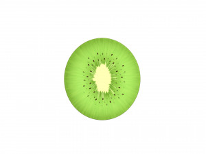 kiwi 3D Model