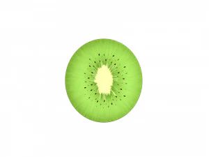 kiwi 3D Model