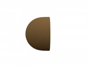 kiwi 3D Model