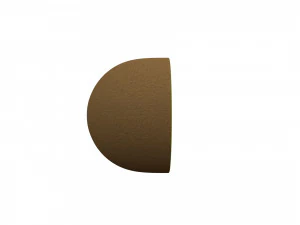 kiwi 3D Model