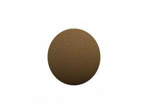 kiwi 3D Model