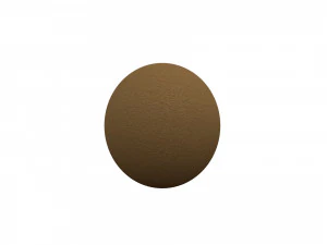 kiwi 3D Model