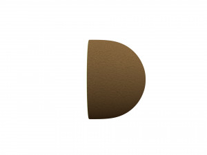 kiwi 3D Model