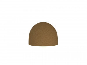 kiwi 3D Model