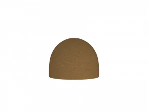 kiwi 3D Model