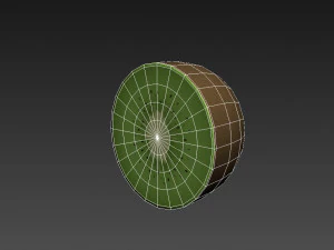 kiwi 3D Model