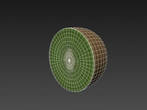 kiwi 3D Model