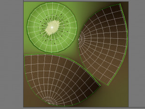 kiwi 3D Model