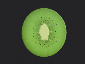 kiwi 3D Model