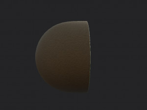 kiwi 3D Model