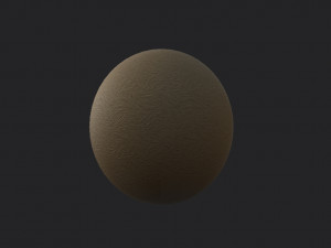 kiwi 3D Model