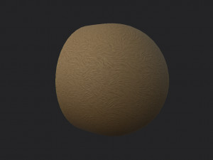 kiwi 3D Model
