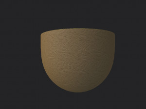 kiwi 3D Model