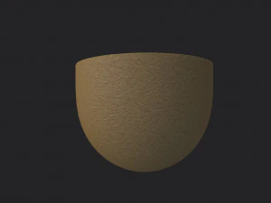 kiwi 3D Model