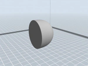 kiwi 3D Model