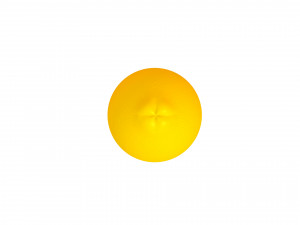lemon Modèle 3D