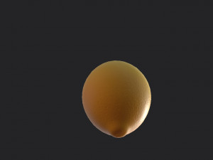 lemon Modèle 3D