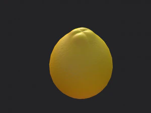 limone Modello 3D