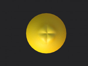 lemon Modèle 3D