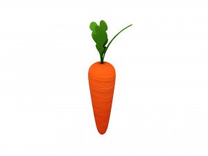 carrot 3D Model