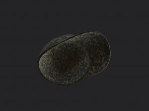 patrol cap 3D Model