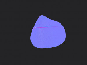 military side cap 3D 模型
