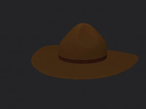 drill sergeant hat 3D Model