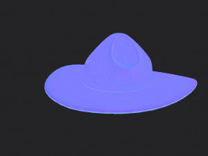 drill sergeant hat 3D Model