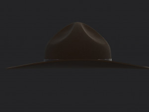 drill sergeant hat 3D-Modell
