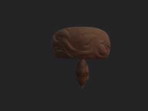 coonskin cap 3D Model