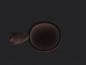 coonskin cap 3D Model