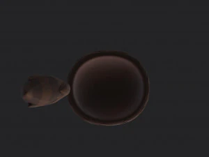 coonskin cap 3D Model